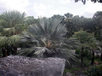 photo 1493811