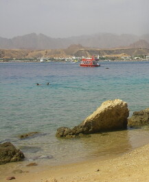 photo 223565