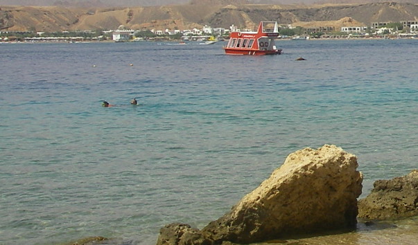 IMGP4365.jpg1