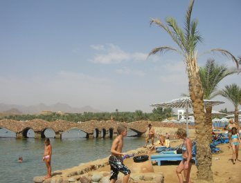 photo 223567