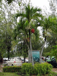 photo 1474398
