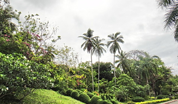 DSC00887