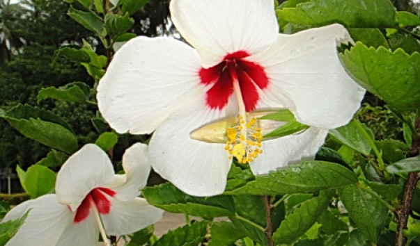 DSC00901