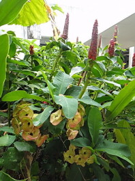 photo 1475158