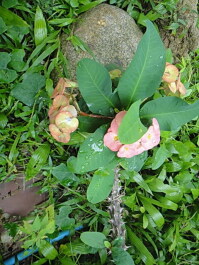 photo 1475159