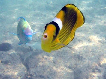 photo 1437664