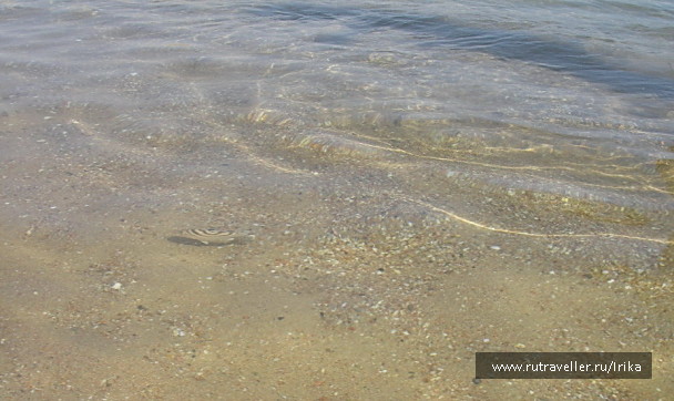 photo 1438638