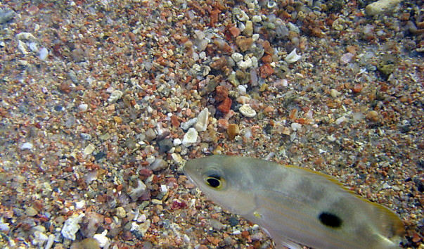 IMGP0376