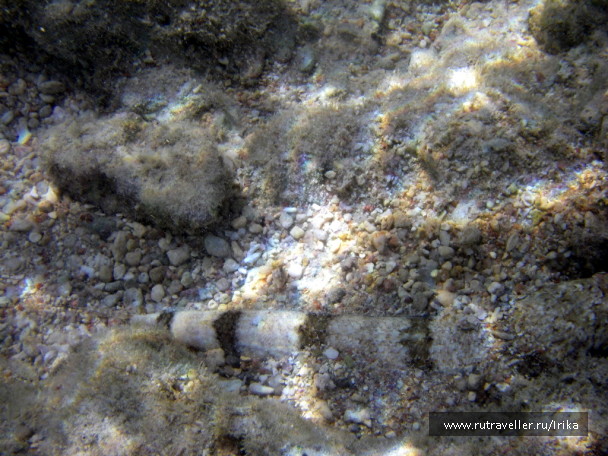 photo 1439279