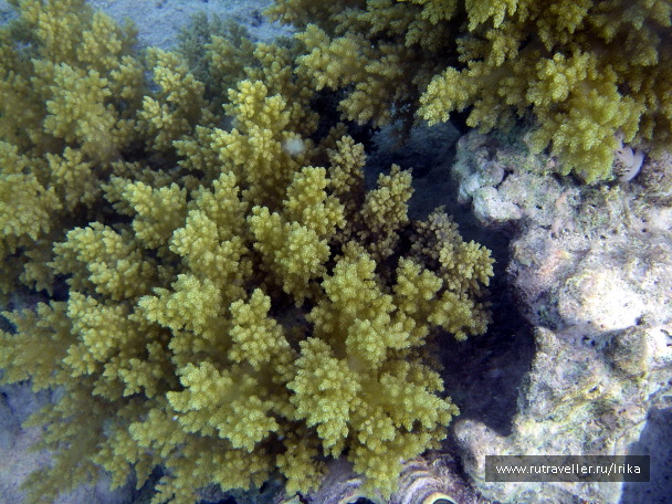 photo 1440058