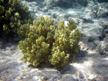 photo 628427