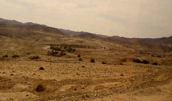 DSC02001