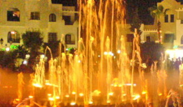 DSC01884.
