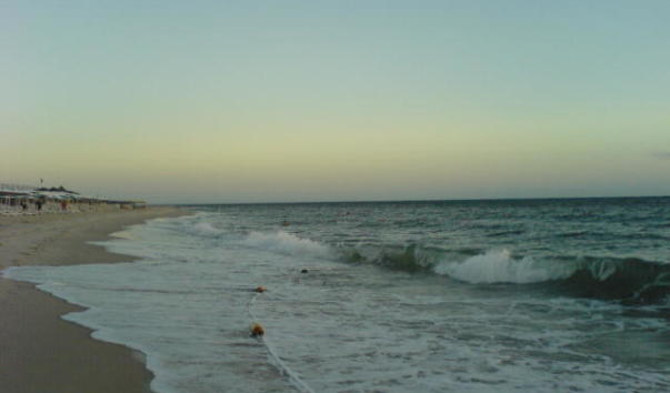 DSC00013