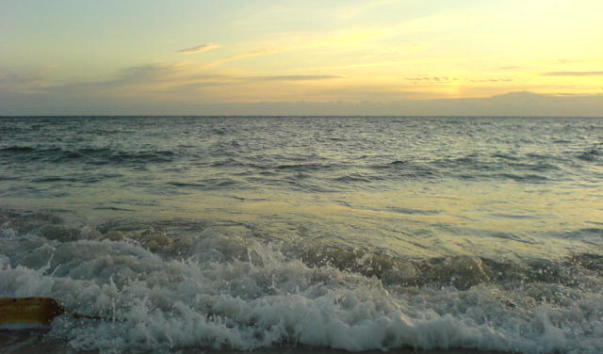 DSC00012