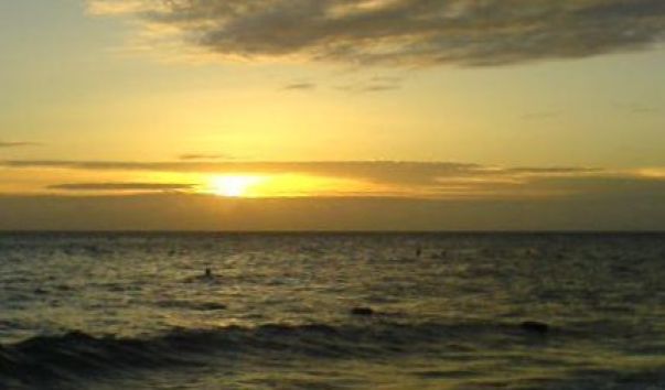 DSC00009