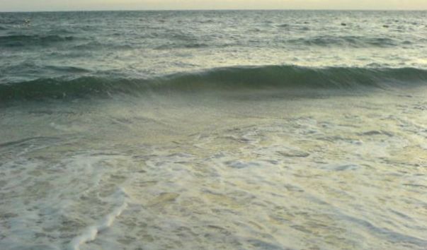 DSC00030
