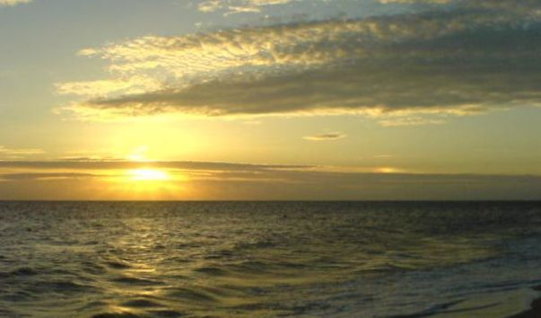 DSC00026