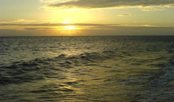DSC00028