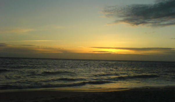 DSC00003