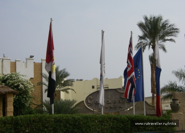 photo 146291