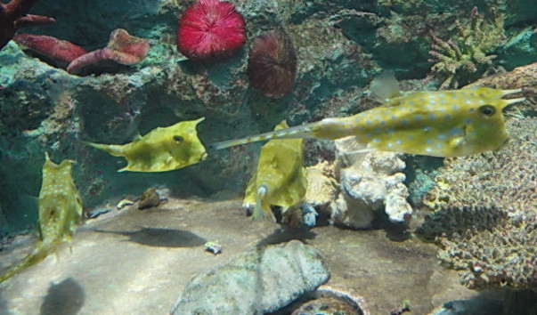 DSC00950