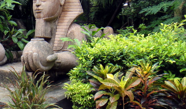 DSC02631.