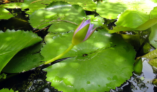 DSC02764