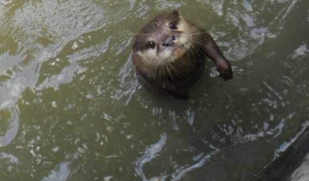 DSC02665.jpg1
