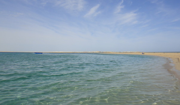 DSC03493