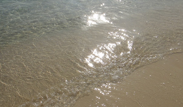 DSC03552