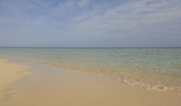 DSC03532