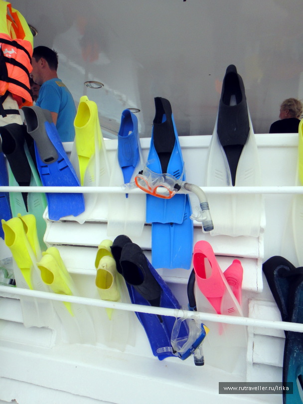 photo 1418782
