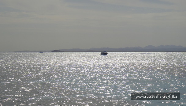 photo 1418828