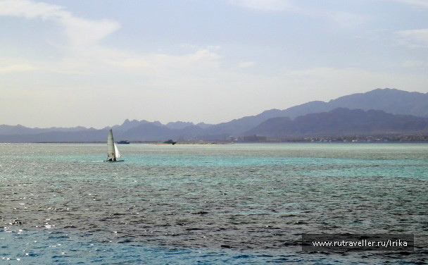 photo 1418829