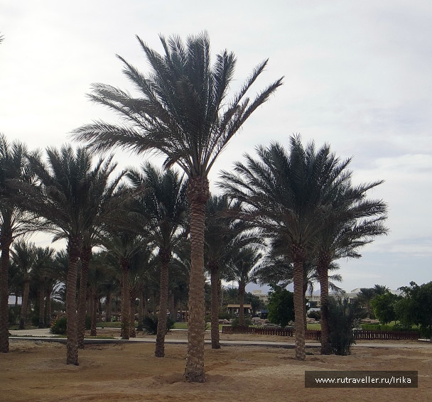 photo 1419434