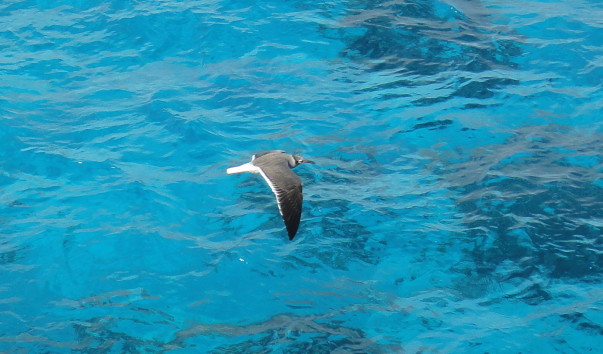 DSC03363.jpg1