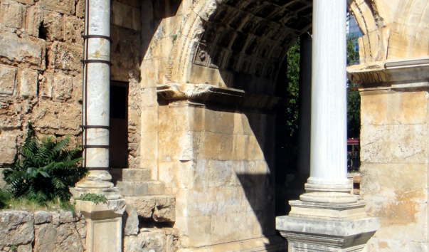 DSC07019