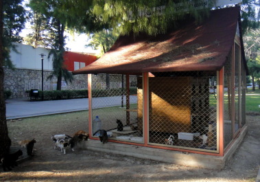 photo 1490349