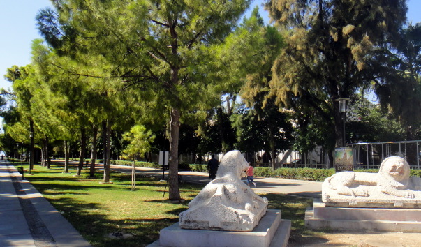 DSC06952