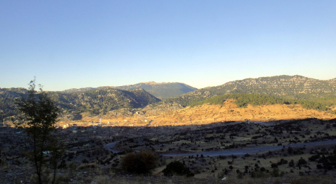 photo 1705695