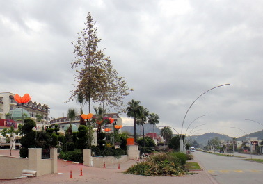 photo 1283157