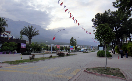 photo 1445479