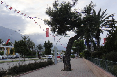 photo 1445480