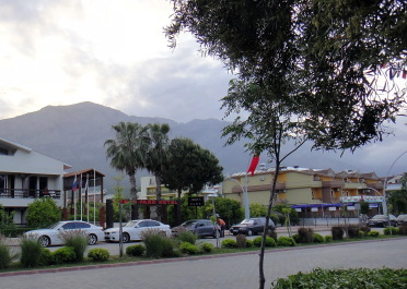photo 1445481