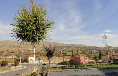 photo 657988