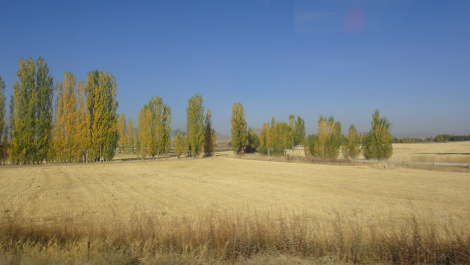 photo 622758