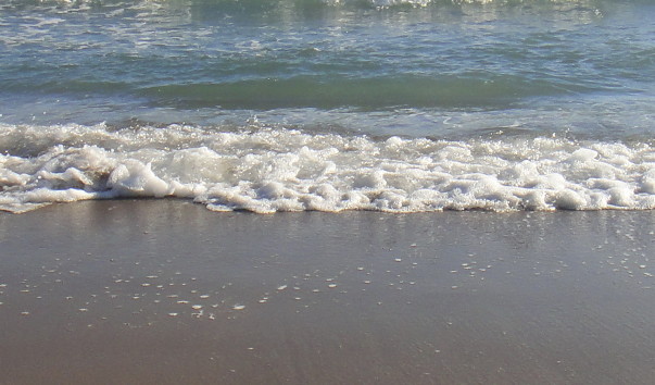 DSC01473.jpg1