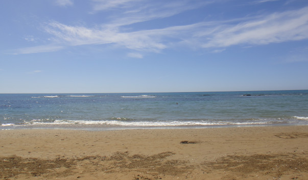 DSC01219