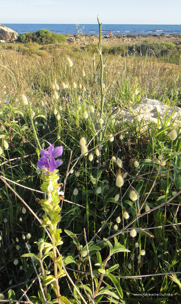 photo 1742192